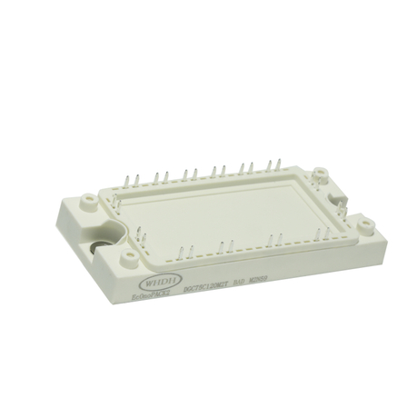 3 razine NPC modul IGBT modul DGQ450C65M2T